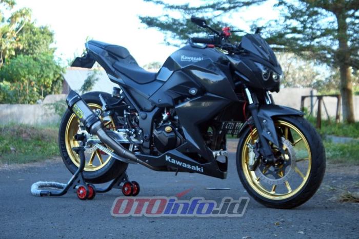 Z250 fairings z300 A kawasaki z250 modif full fairing