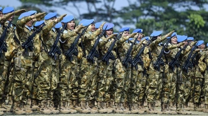 Video 320 jet tempur tni susul pasukan perdamaian pbb di australia