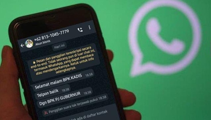 Botu-12 Pesan whatsapp mengatasnamakan bank ina