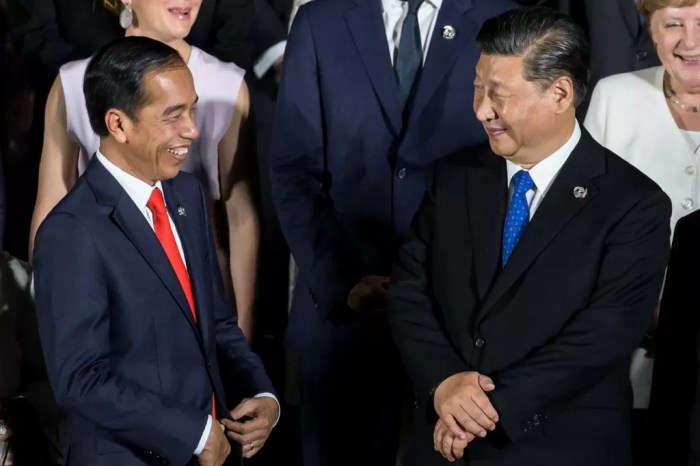 Joko-Widodo-dan-Xi-Jinping Presiden joko widodo diminta serahkan tanah di kalimantan oleh xi jinping