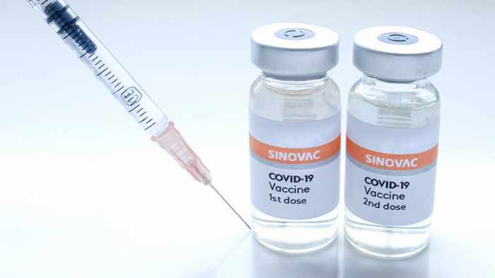 Sinovac vaccine approval rafflesmedicalgroup Vaksin covid 19 sinovac sebabkan mpox