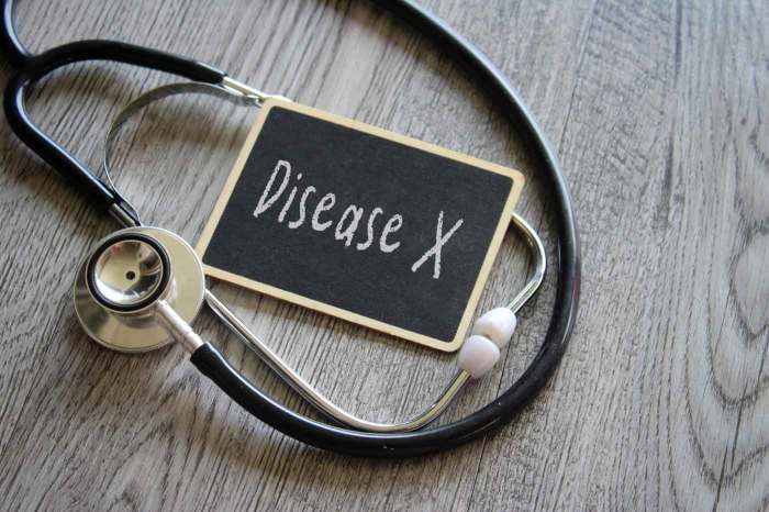 Who persiapkan disease x sebagai bocoran pandemi berikutnya